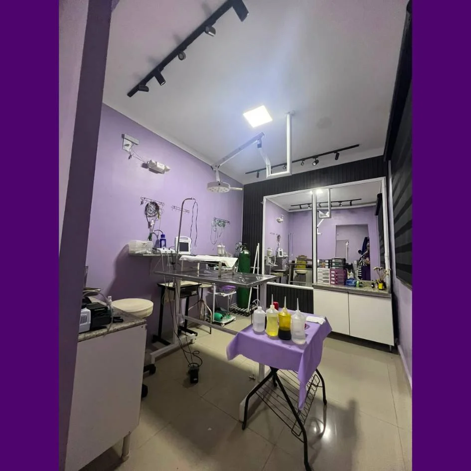 interno2-clinica-veterinaria-coracao-do-pet