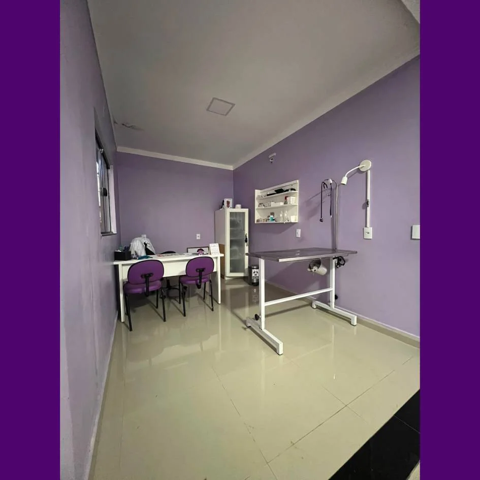 interno3-clinica-veterinaria-coracao-do-pet